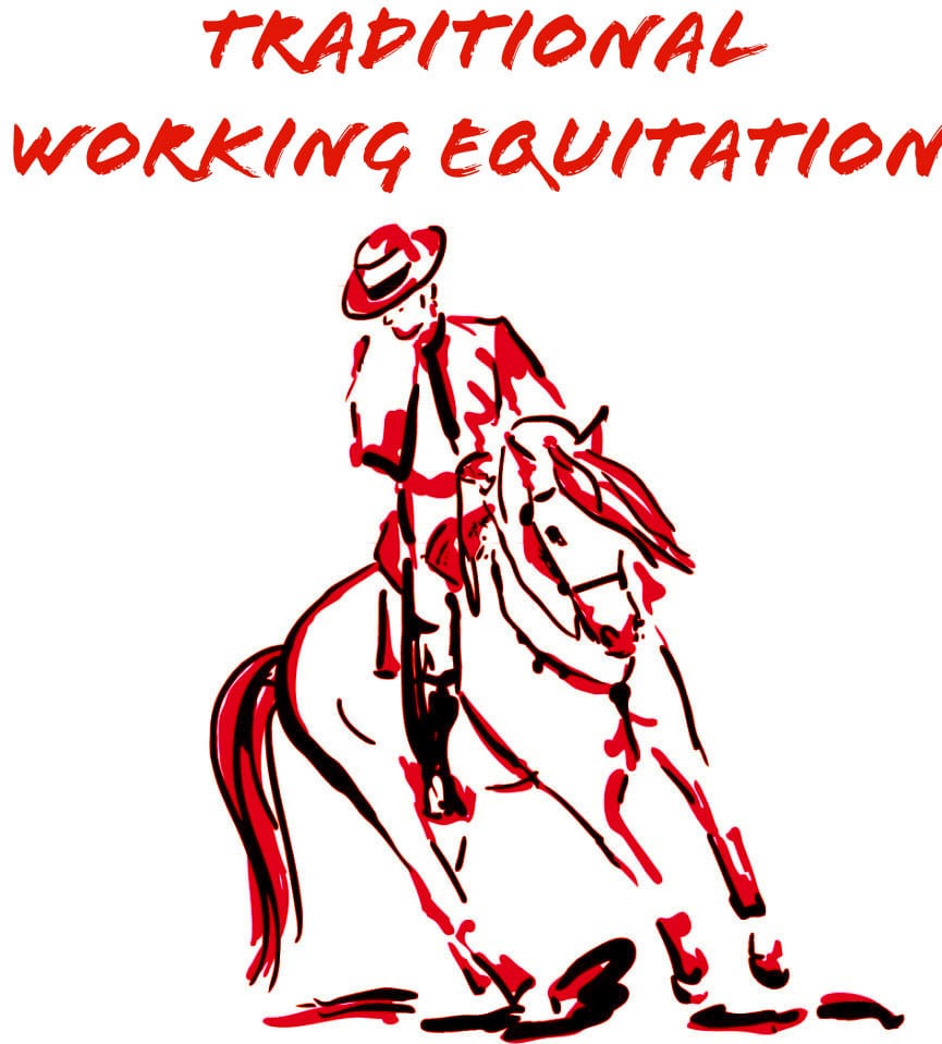 Infoveranstaltung Working Equitation